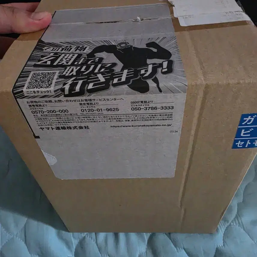 [BUNJANG] Gojo Satoru Box Set (Sealed) / 완전 박스 조차 미개봉 당주 고죠사토루 판매합니다