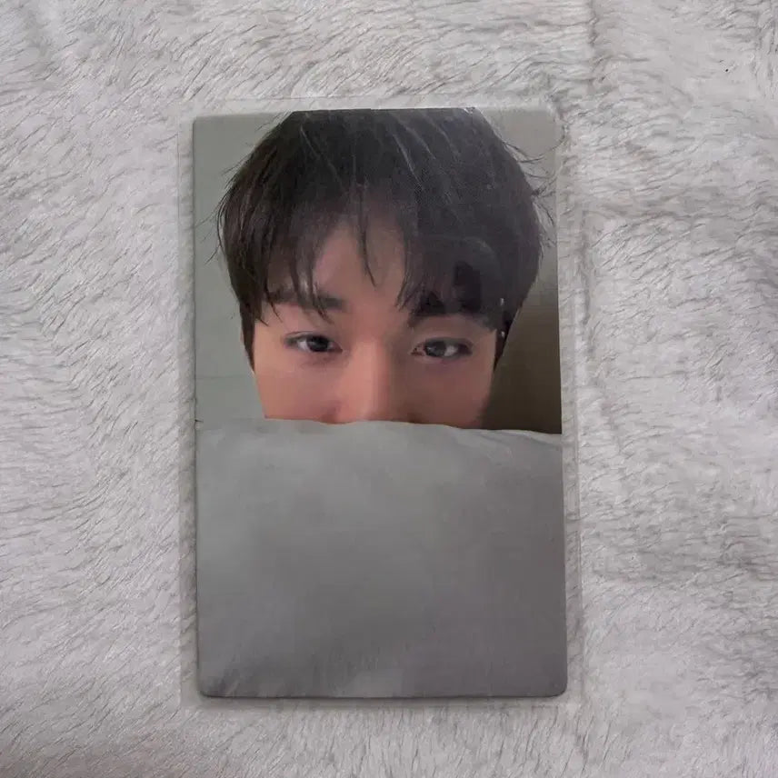[BUNJANG] Park Jihoon Citer Bedding Pillow Photocard / 박지훈 citer 시터 이불 배게 포카