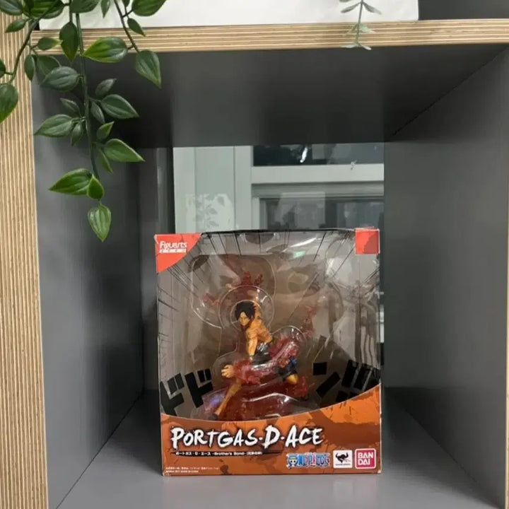 [BUNJANG] One Piece Figuarts ZERO Ace Figure / 원피스 아츠제로 에이스 피규어