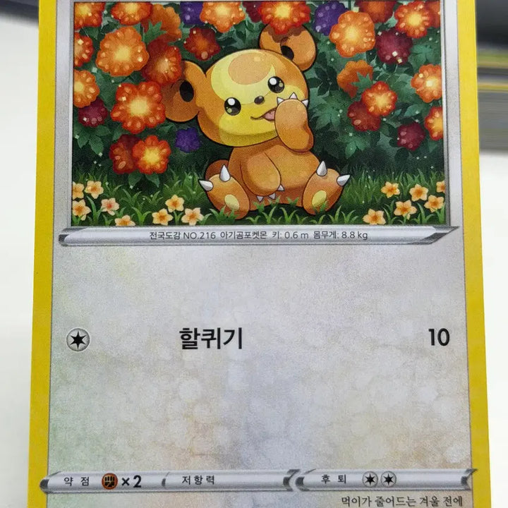 [BUNJANG] Kkambigom S6H Photocard / 깜지곰 s6H 055/070 C (400원)
