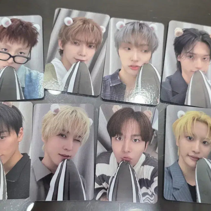 [BUNJANG] Apple Music Hamsterz POB 8-Member Set Photocard / 애플뮤직 햄스티즈 미공포 8장set 양도