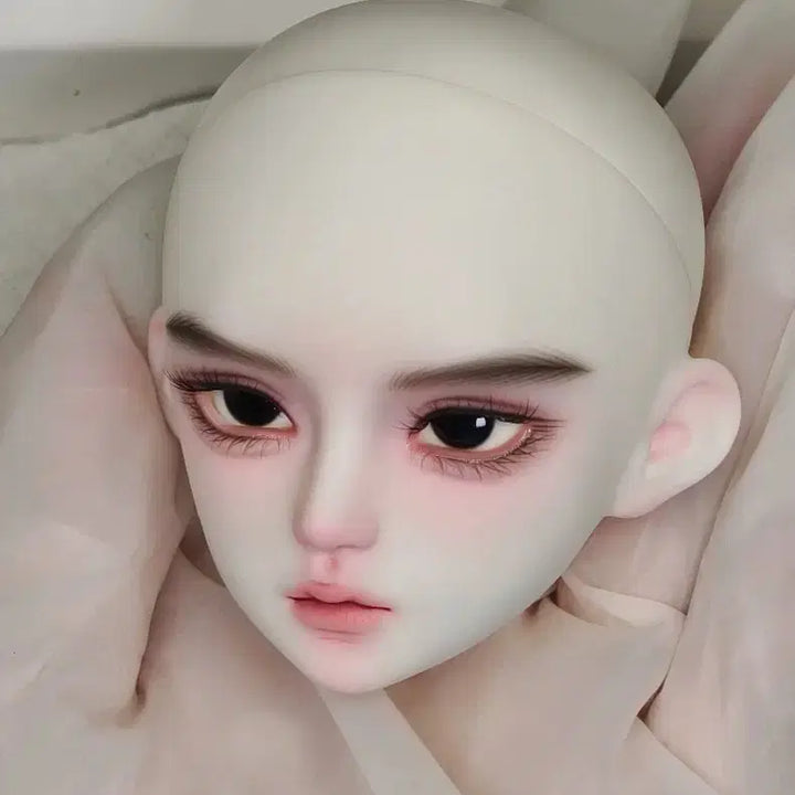 [BUNJANG] Sanmeidoll MSD BJD Head (Mia Back Skin Tone) with Eyes and Head Certificate Card / 카드 + 헤드 + 안구 구관 msd 구체관절인형 헤드