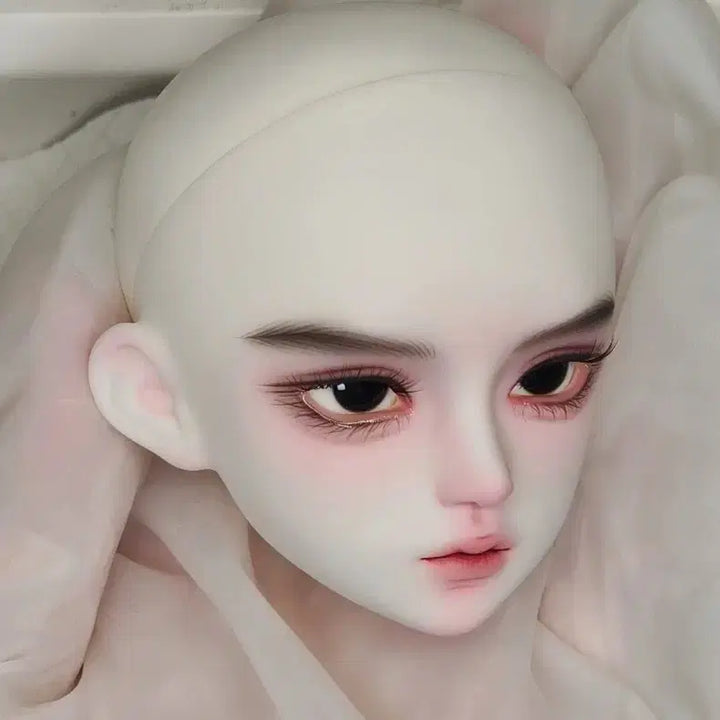 [BUNJANG] Sanmeidoll MSD BJD Head (Mia Back Skin Tone) with Eyes and Head Certificate Card / 카드 + 헤드 + 안구 구관 msd 구체관절인형 헤드