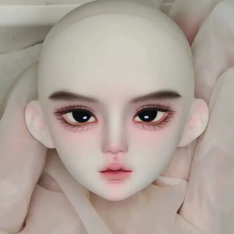 [BUNJANG] Sanmeidoll MSD BJD Head (Mia Back Skin Tone) with Eyes and Head Certificate Card / 카드 + 헤드 + 안구 구관 msd 구체관절인형 헤드