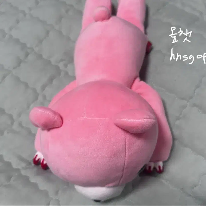 [BUNJANG] Gloomy Bear Plush Doll / 글루미베어 누이구루미 인형 누이 양도 판매