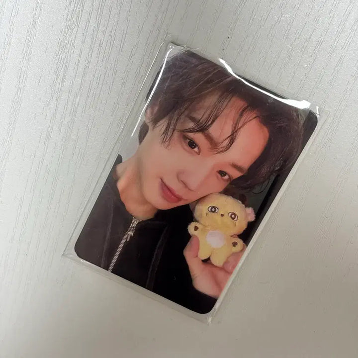 [BUNJANG] Park Ji Hoon Sosimi Photocard / 박지훈 소심이 포카 판매합니다