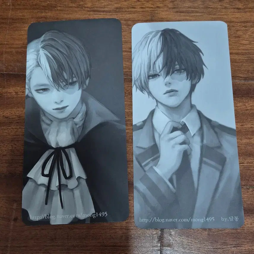 [BUNJANG] My Hero Academia Todoroki Trading Card / 히로아카 토도로키 비공굿 카드텍