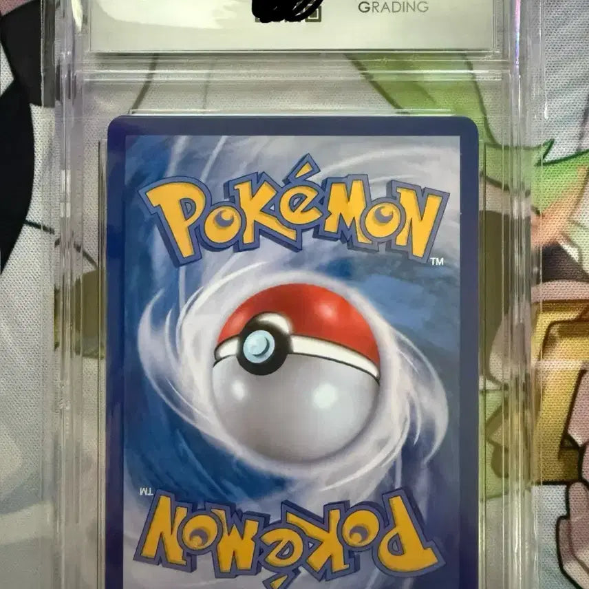 [BUNJANG] Pokemon TCG Steven&