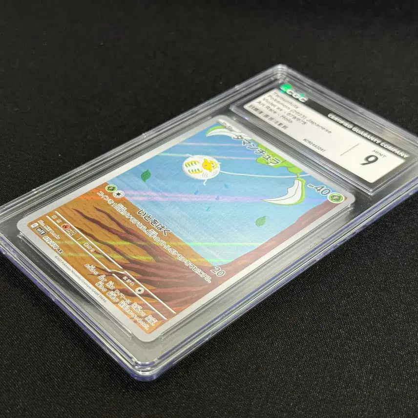[BUNJANG] Pokemon Card Tarountula AR CGC 9 Japanese / (무료배송)포켓몬카드 CGC 9 일판 타랜툴라 AR