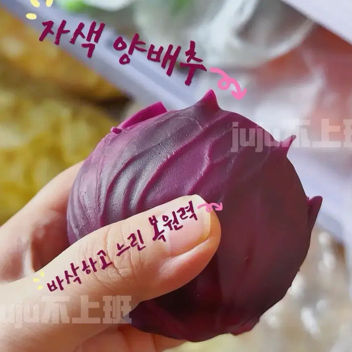 [BUNJANG] Red Cabbage Plush Toy / 적양배추 슬랑이 크런치말랑이