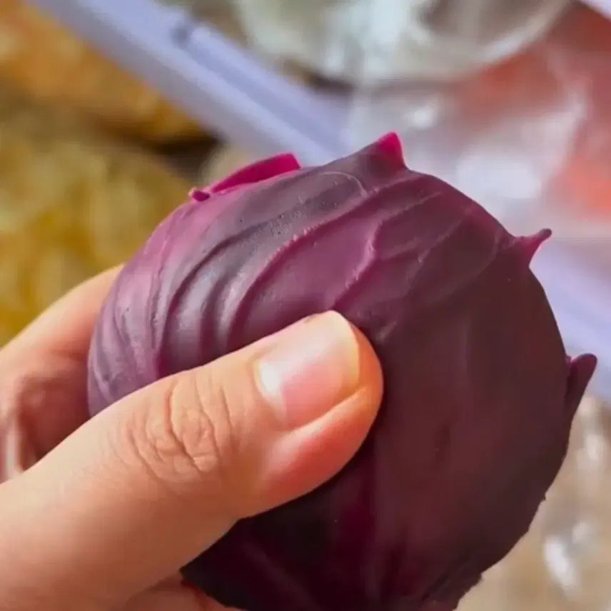 [BUNJANG] Red Cabbage Plush Toy / 적양배추 슬랑이 크런치말랑이