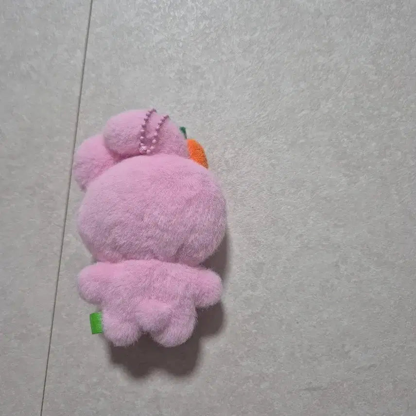 [BUNJANG] fromis_9 Park Ji-won Doll (Unsealed) / 프로미스나인 박지원 인형 팝니다
