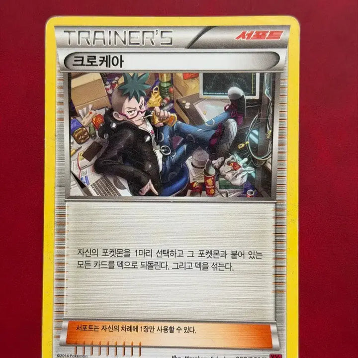 [BUNJANG] Pokemon Classic Trainer Card Crocerea XY / 포켓몬 고전 카드 트레이너 크로케아 XY