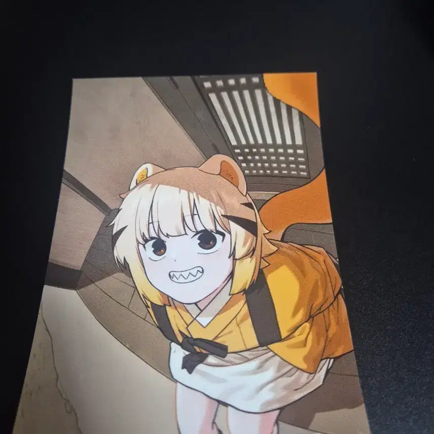 [BUNJANG] Horangi Deureowayo Dambi Photocard / 호랑이들어와요 담비 포토카드