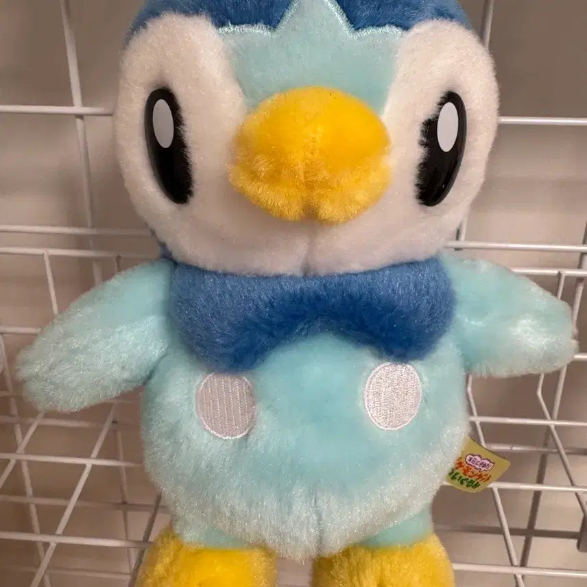 [BUNJANG] Pokemon Piplup Plush Doll / 포켓몬 팽도리 인형 팝니다