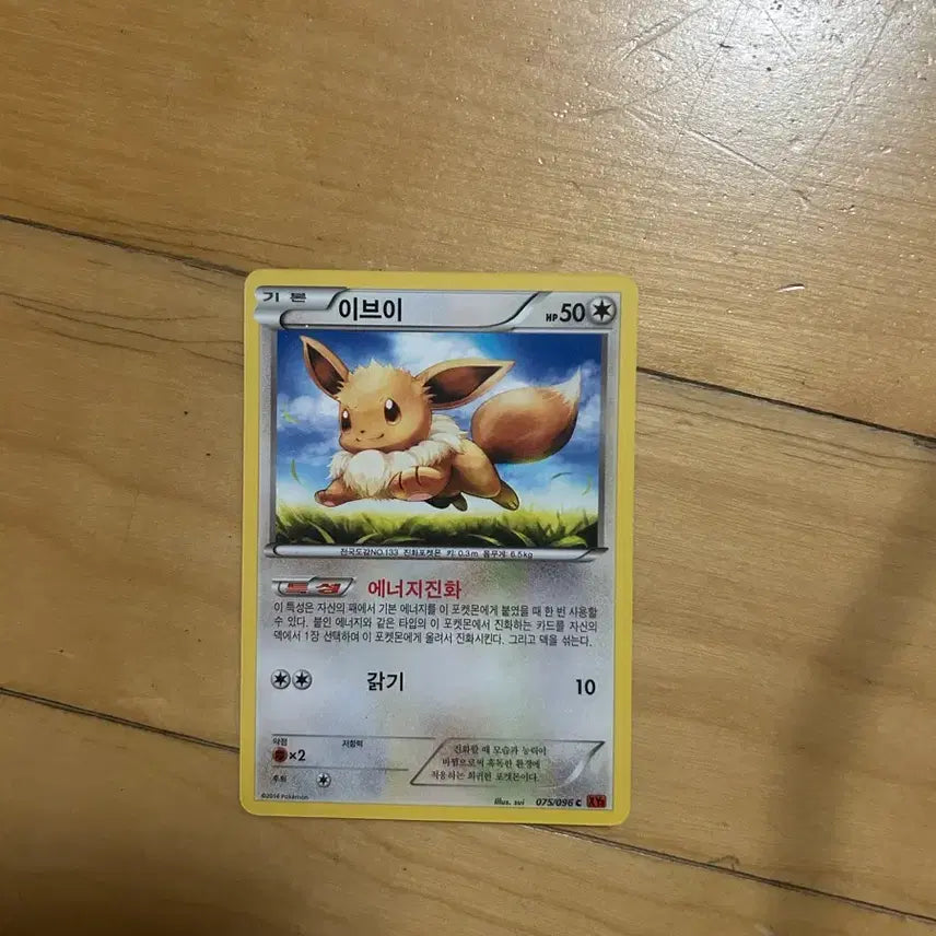 [BUNJANG] Pokemon XY Eevee Card / 포켓몬 xy 카드 이브이