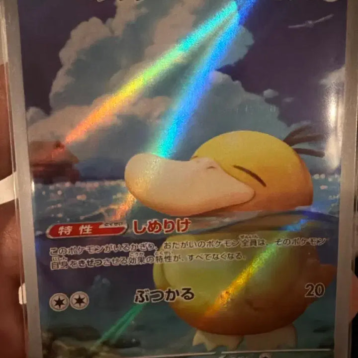 [BUNJANG] Pokemon GO: Farfetch&
