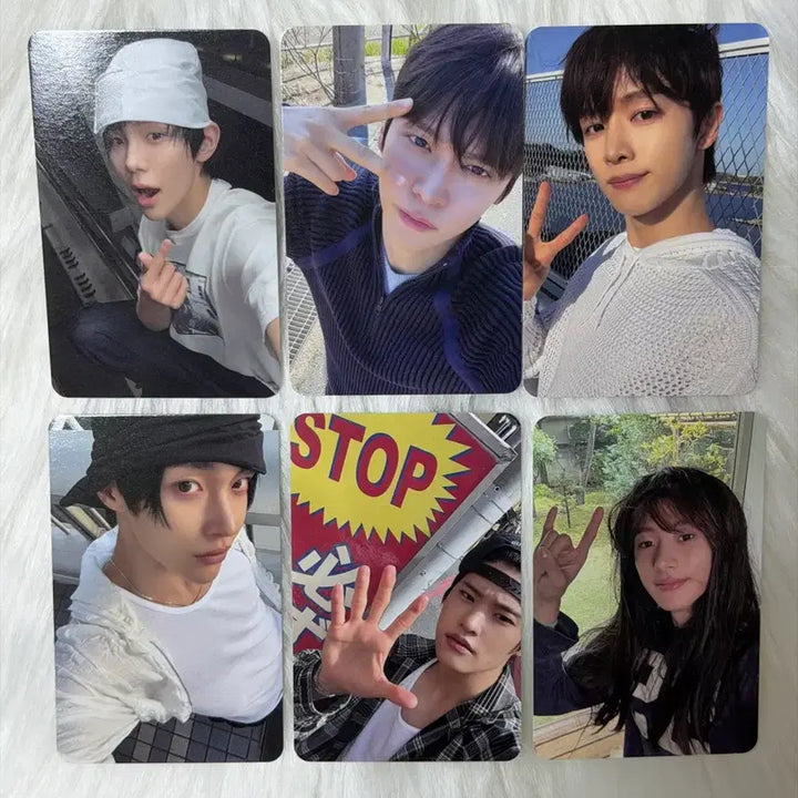 [BUNJANG] RIIZE II Special Version Album Photocard Set / 6장세트)라이즈 II 스페셜 버전 앨범 포카 양도