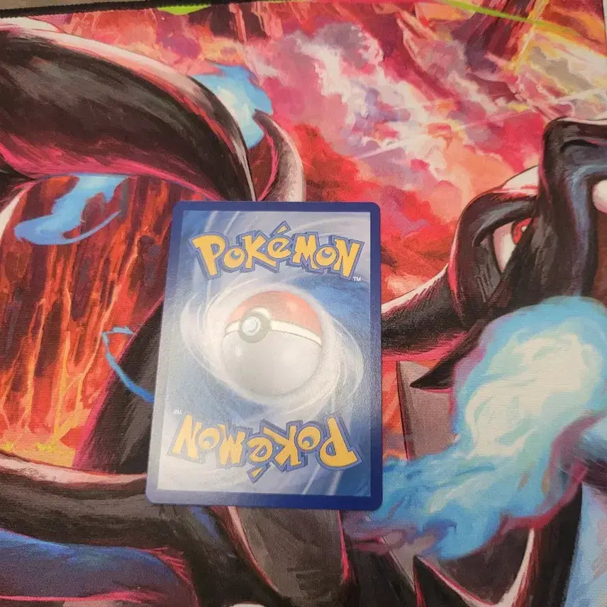 [BUNJANG] Pokemon Card Eevee Monster Ball Colorful Friends 133/165 C / 포켓몬카드 이브이 몬스터볼  컬러풀프렌즈 133/165 C