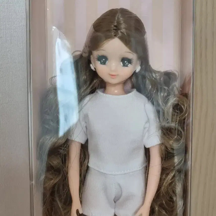 [BUNJANG] RikaCastle Nihonbashi Basic Model v3 Kaori Chan / 미개봉] 리카캐슬 니혼바시 베이직모델 v3 카오리짱