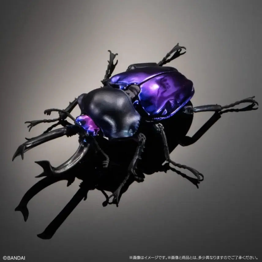 [BUNJANG] Bandai Seibutsu Zukan Advance Muelleri Purple Unsealed / 반다이 생물대도감 어드밴스 뮤엘러리 퍼플 미개봉