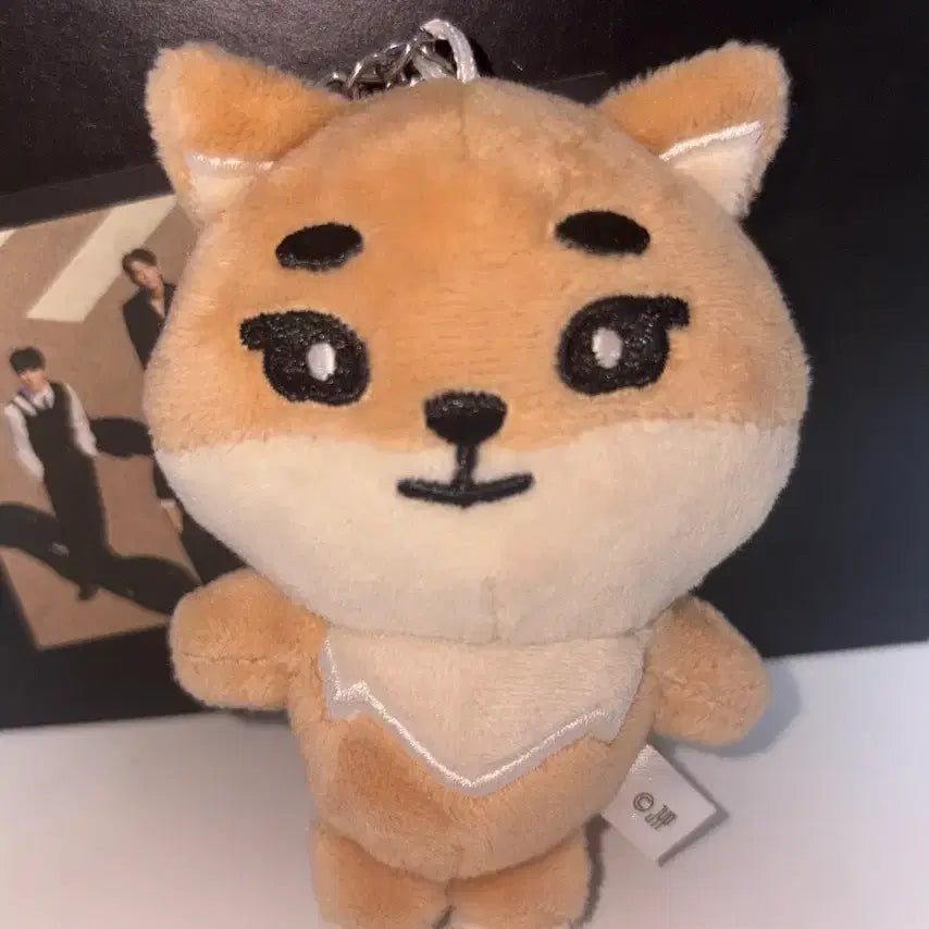 [BUNJANG] DAY6 Young K Japan Bag Charm / 데이식스 영케이 <케 일본백참> 판매합니다!
