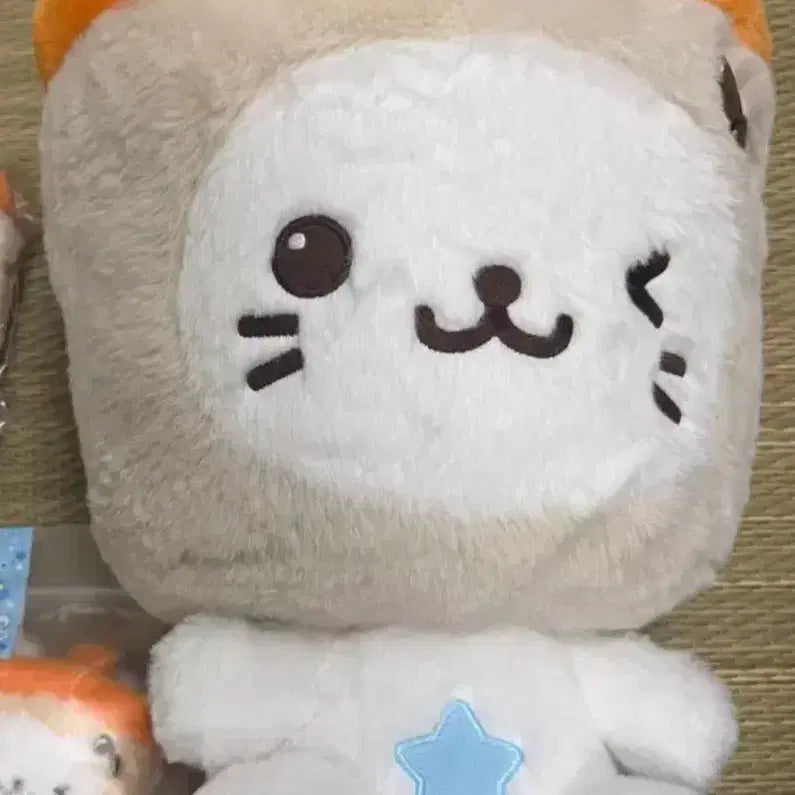 [BUNJANG] Wishdoll 30cm Yuushi Bubble Cat Plush / 30cm 위시돌 버블냥 유우시