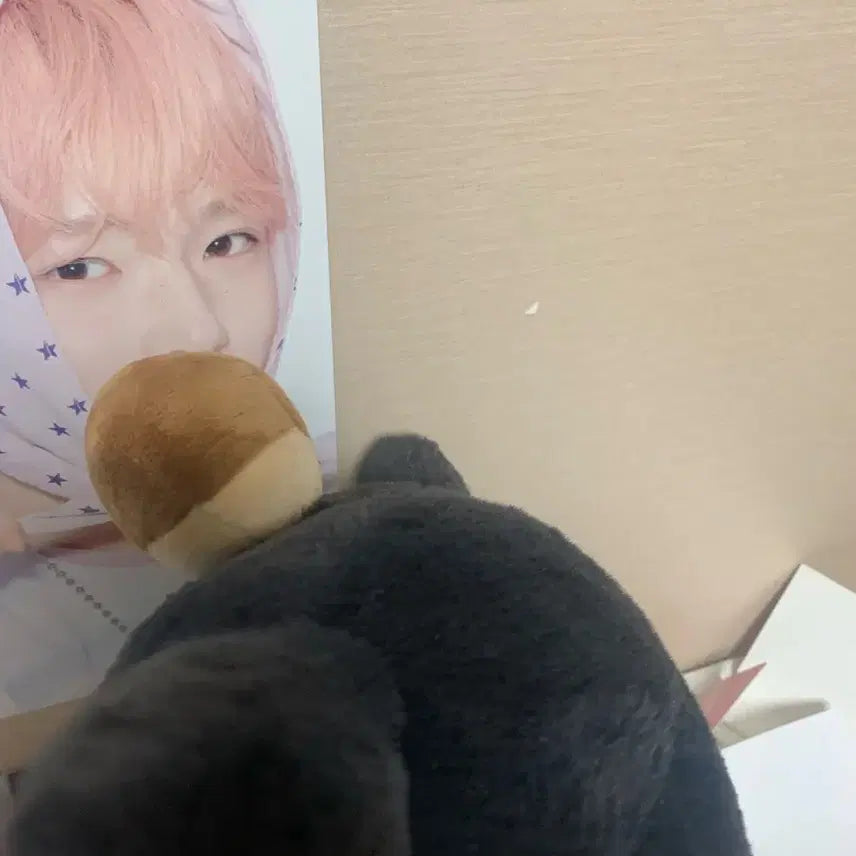 [BUNJANG] 30cm Kuri Plush / 30cm 쿠리 양도
