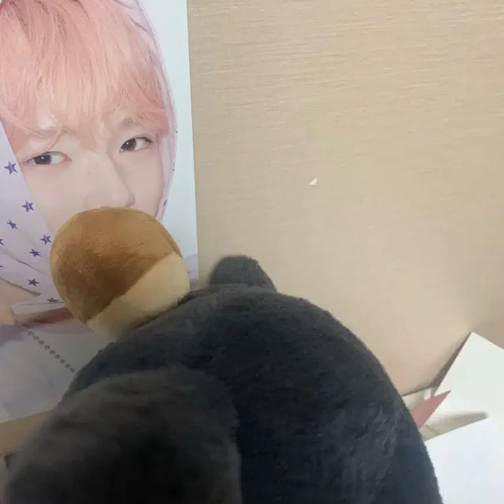 [BUNJANG] 30cm Kuri Plush / 30cm 쿠리 양도