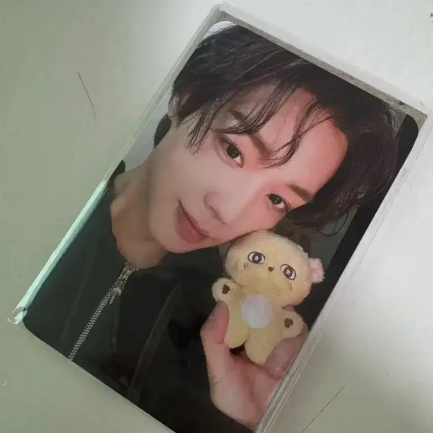 [BUNJANG] Park Ji Hoon Photocard / 박지훈 포카