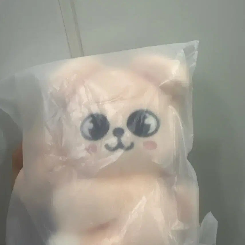 [BUNJANG] Stray Kids Seungmin Periperi Magnet Plush (Sealed) / 미개봉 원가양도 스키즈 스키주 마그넷 플러시 승민 퍼핌