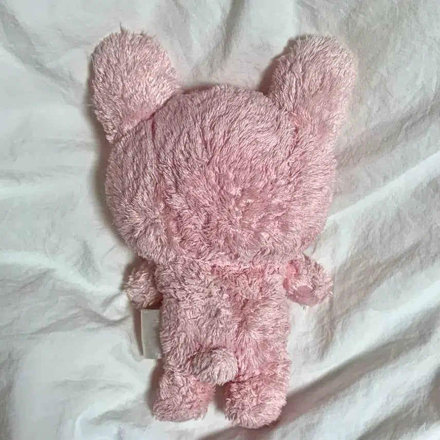 [BUNJANG] San-X Rilakkuma Rabbit Plush / 우사기 코리락쿠마 (쿨거시 반택포)