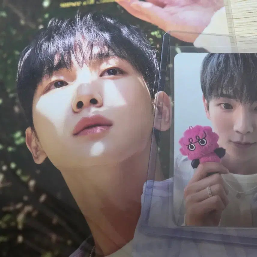 [BUNJANG] SHINee 15th Anniversary THE MOMENT OF SHINE Key Version Photocard and Postcard Book Bundle Set / 샤이니 15주년 THE MOMENT OF SHINE 키ver