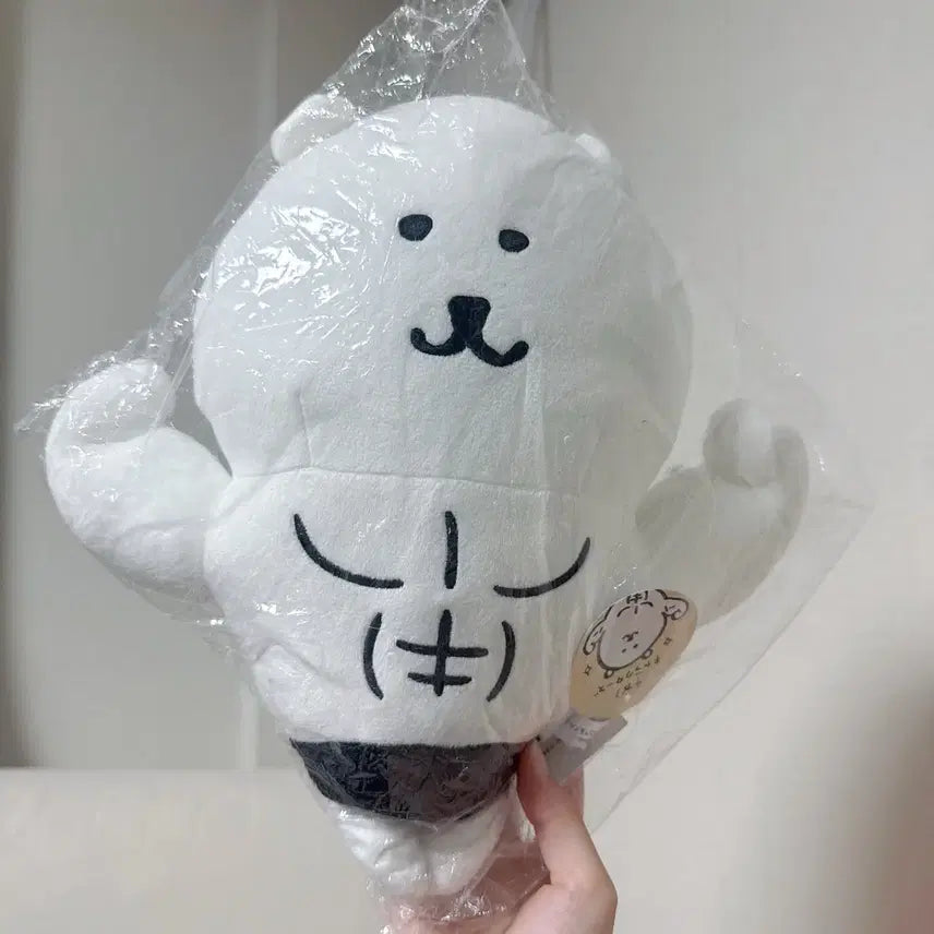 [BUNJANG] Muscle Joke Bear "Damgom" Plush / 근육 농담곰 인형 몸짱 담곰이