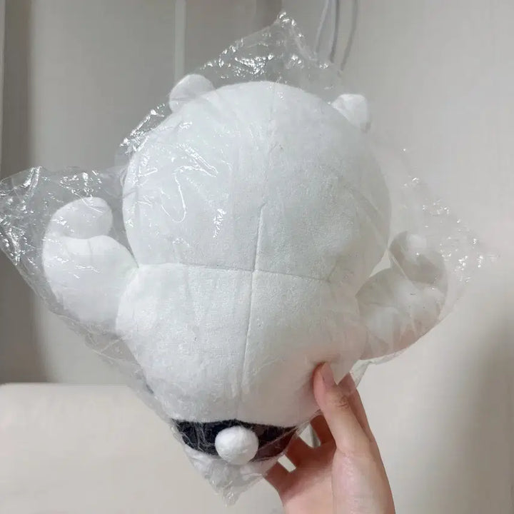 [BUNJANG] Muscle Joke Bear "Damgom" Plush / 근육 농담곰 인형 몸짱 담곰이