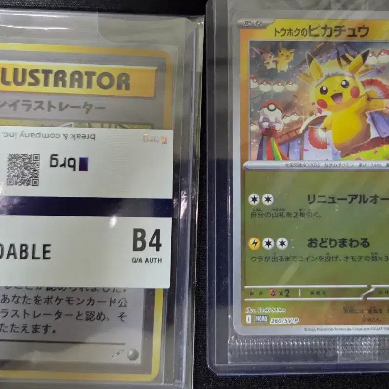 [BUNJANG] Pikachu Card Bundle Set / 피카츄 카드 [ 일괄 판매 ]