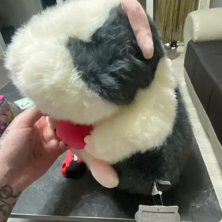 [BUNJANG] Guinea Pig Plush Toy / 기니피그 인형
