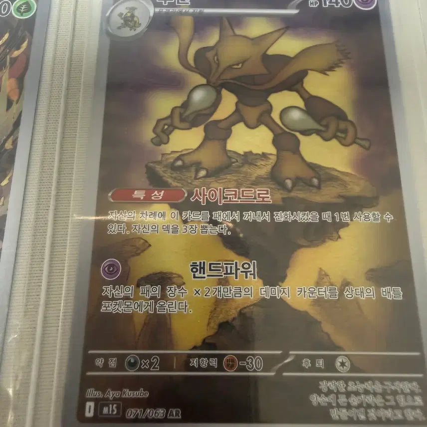 [BUNJANG] Pokemon Card Charizard AR SS Grade / 포켓몬카드_후딘 AR (SS급)
