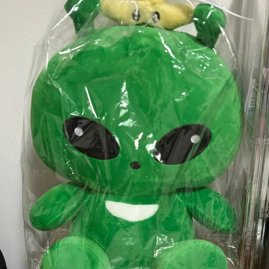 [BUNJANG] Gye-wagi Medium Plush Doll / 계왹이 중형 인형 판매
