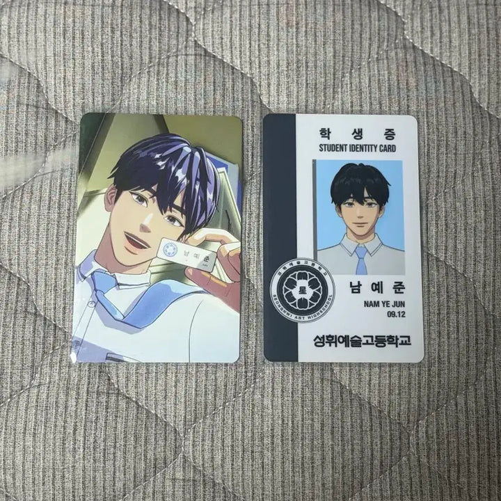 [BUNJANG] PLAVE Yu-reum, Ye-jun Bundle Set Photocard / 플레이브 육여름 예준 세트 일괄 여섯번째여름 포카
