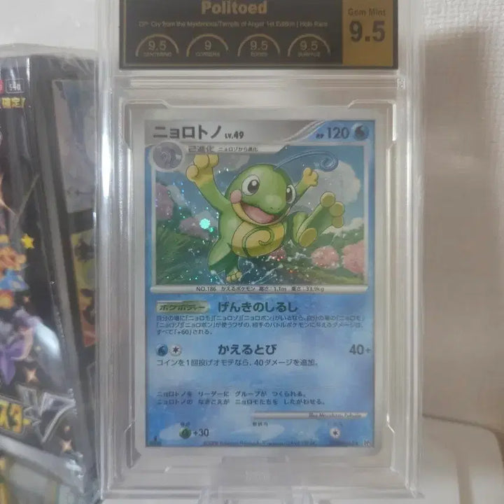[BUNJANG] Arcanine 1st Edition Holo 1st Edition Graded Card PCG 9.5 / 왕구리 1edition 초판 홀로카드 [DP5 
