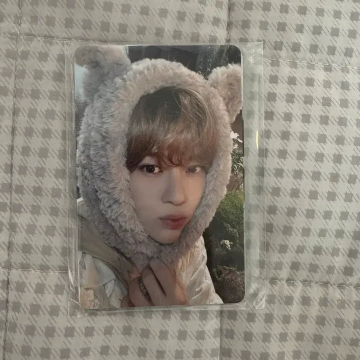 [BUNJANG] NCT WISH Membership Photocard Full Set (Sealed) / 엔시티위시 멤버십 구매 포카 풀셋 미개봉