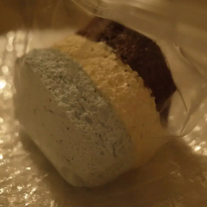 [BUNJANG] Hahajing Mint Chocolate Round Toast Squishy / Hahajing 하하징 민초 둥근 토스트