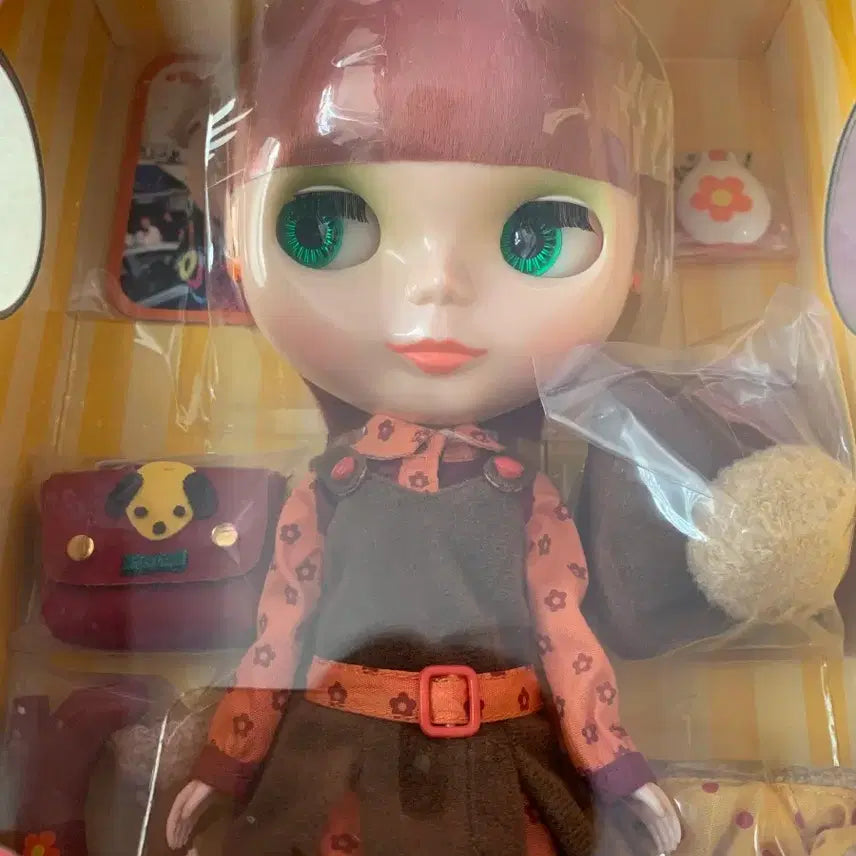 [BUNJANG] Sealed Neo Blythe Mode Molly Doll / (미개봉)네오 브라이스 모드 몰리 네오블라이스