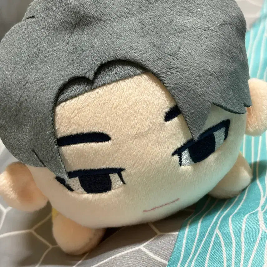 [BUNJANG] SEVENTEEN Wonwoo Petit-tin Doll / 세븐틴 원우 인형 sega 쁘띠틴
