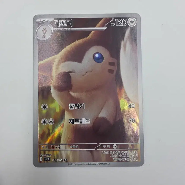 [BUNJANG] Pokemon Card Dakooori AR / 포켓몬카드 다꼬리 AR