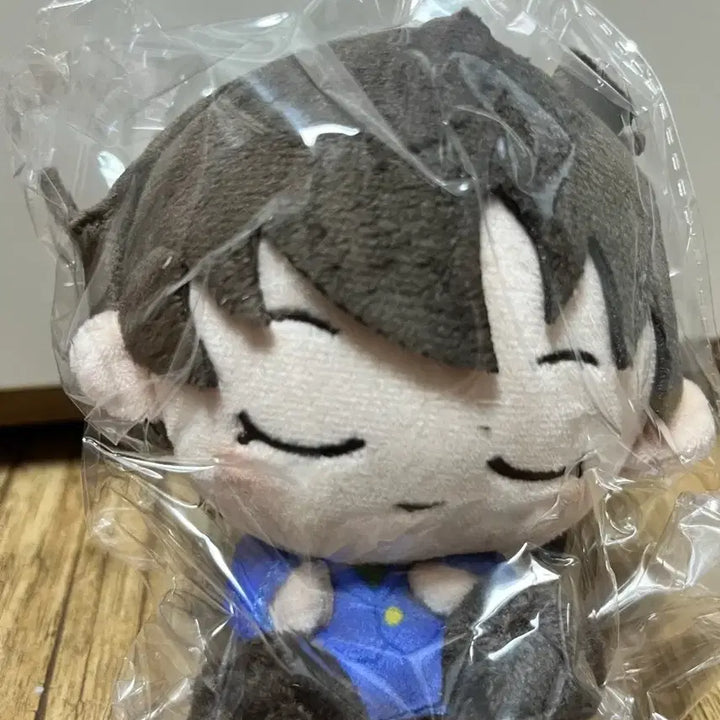 [BUNJANG] Detective Conan Shinichi Kudo Gya-Ddung Osuwari Plush / 명탐정 코난 쿠도 신이치 남도일 갸우뚱 오스와리 누이