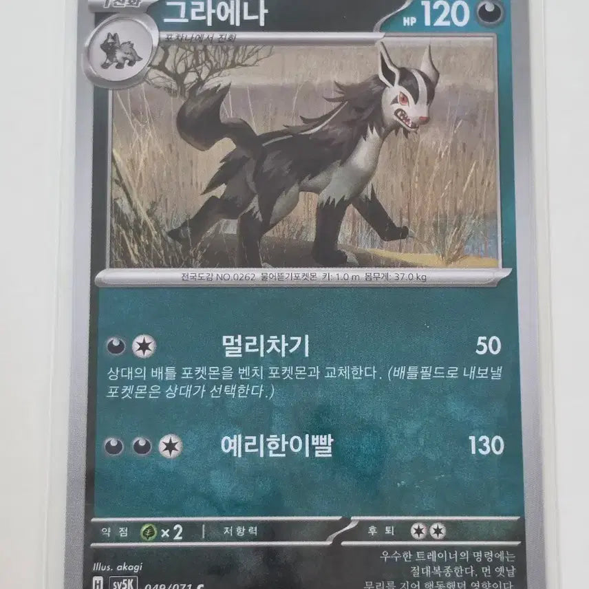 [BUNJANG] Graena Pokemon Card Single / 그라에나 포켓몬카드 단일