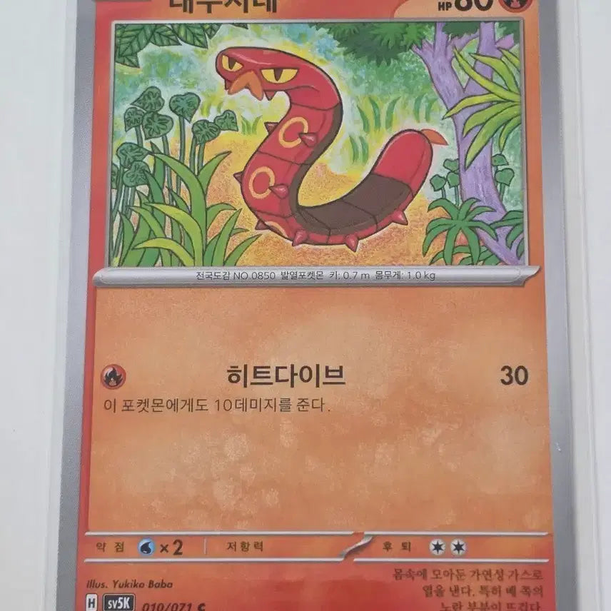 [BUNJANG] Pokemon Card Torkoal Single Card / 포켓몬카드 태우지네 단일