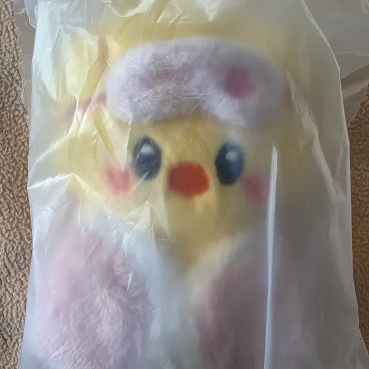 [BUNJANG] Bbokari 10cm 6th Fan Meeting Kong Kiju Plush / 뽁아리 10cm 6th fan meeting 콩키주